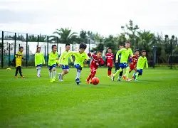 世俱杯增至,队已提前晋,太阳城,太阳城,太阳城娱乐,太阳城app,太阳城赌场